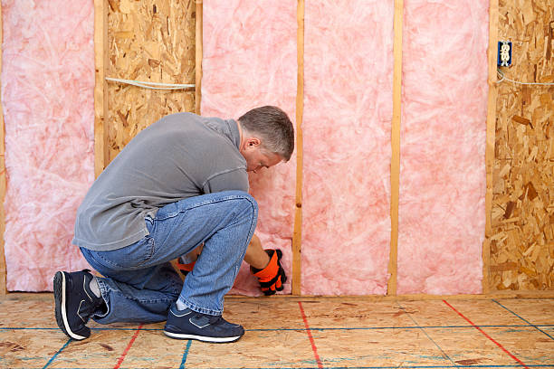 Best Eco-Friendly Insulation in Whitehouse, OH